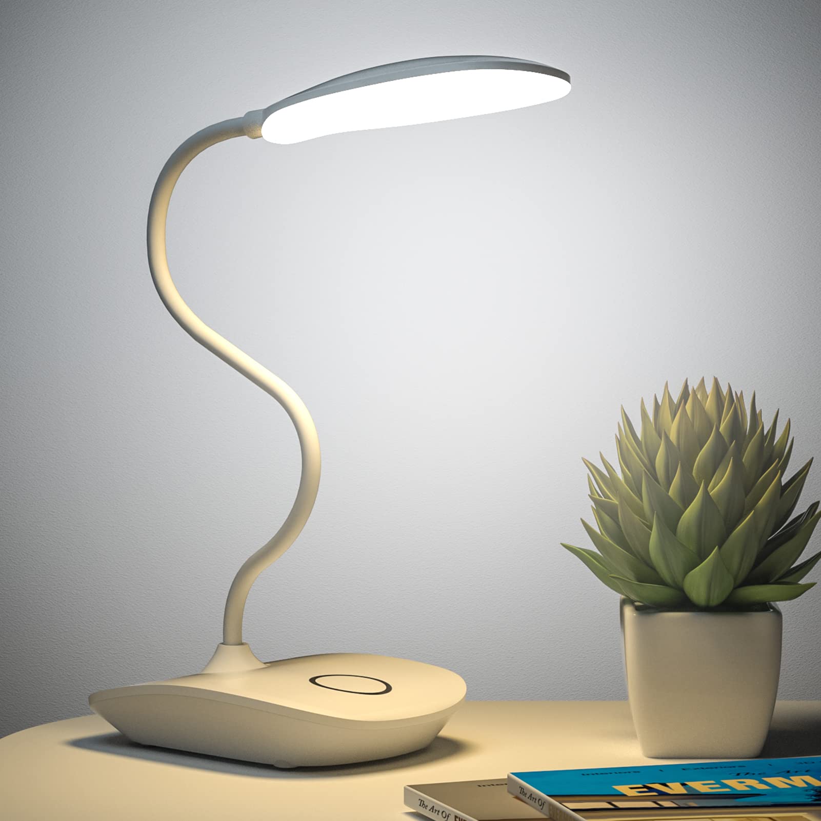 LED Desk Lamp
